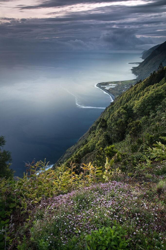 mountain, island, sea, ocean, water, coastline, plants, vegetation, tranquility, tourism, biodiversity, natural, scenery, scenic, nature, fajã, sao jorge, azores, portugal, biodiversity, biodiversity, biodiversity, azores, azores, portugal, portugal, portugal, portugal, portugal