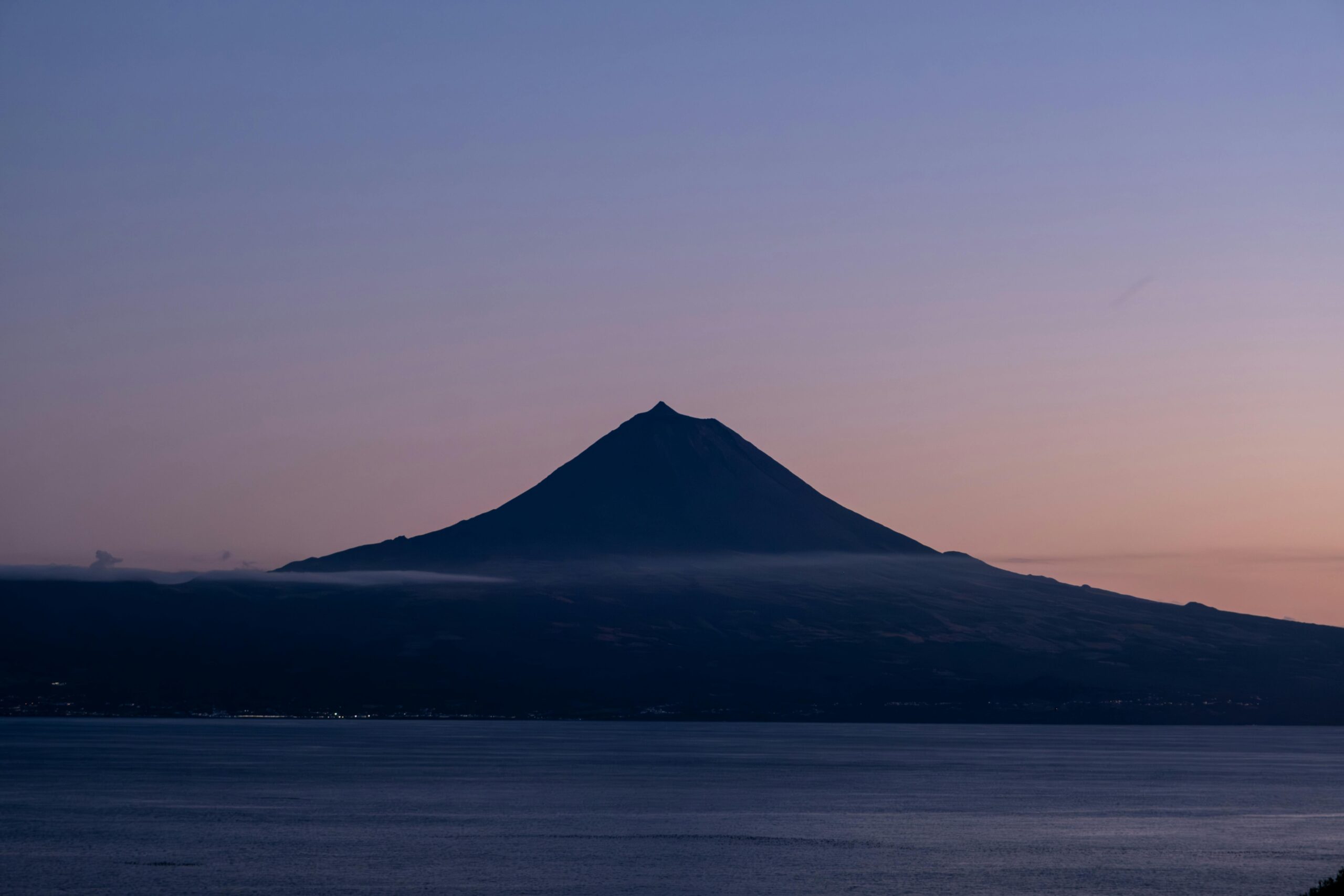 Whale watching in Pico: the complete guide to an unforgettable encounter